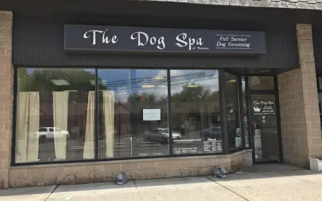 The Dog Spa in Norwood, NJ