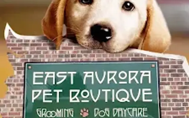 East Aurora Pet Boutique in East Aurora, NY