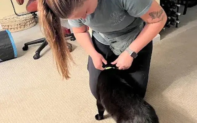 Auds & Ends Pet Services, LLC in Prince Frederick, MD