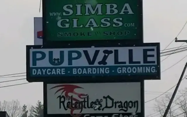 PupVille Doggy Daycare in Nashua, NH