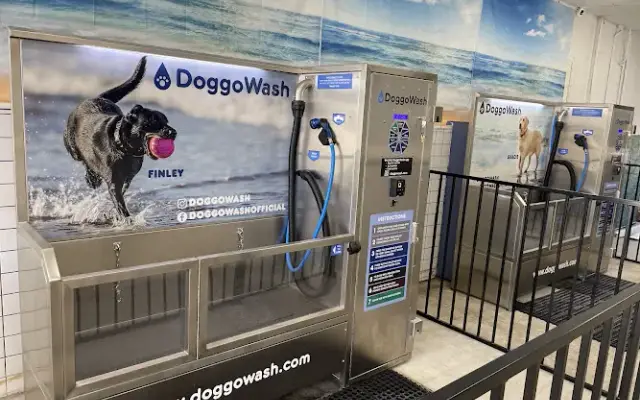 Doggowash in La Mesa, CA