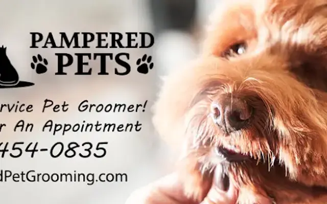 Pet Grooming By Pampered Pets in Baxter, MN