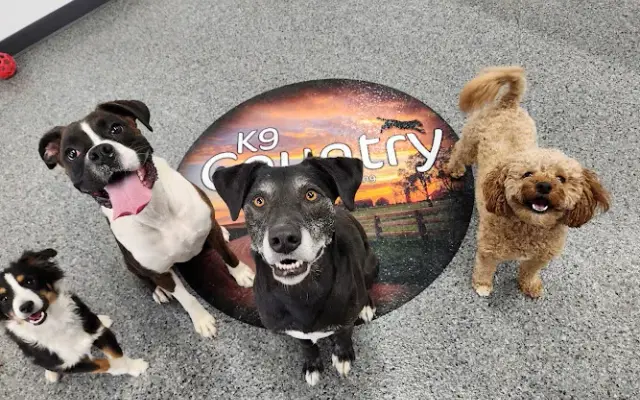 K9 Country in Colesburg, IA
