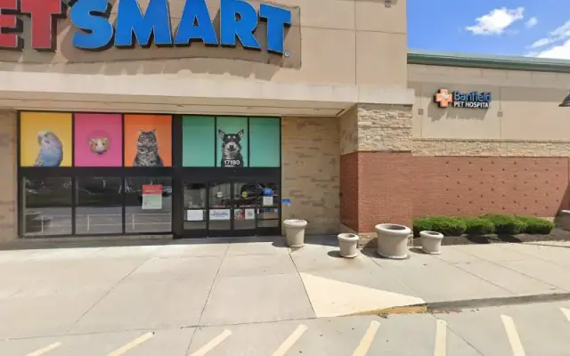 PetSmart Dog Training in Noblesville, IN