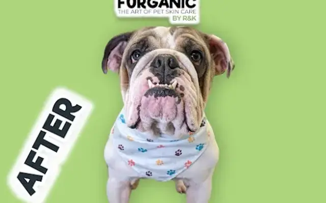Furganic by R&K in Miami, FL