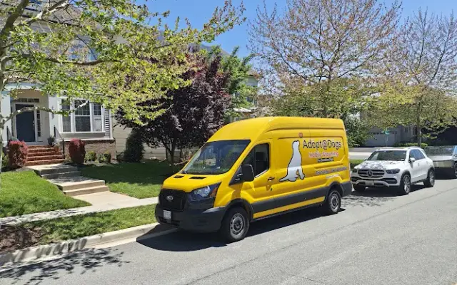 Dog Mobile Grooming in Kensington, MD