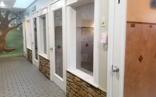 Westlake Animal Inn Pet Resort & Grooming in Tarpon Springs, FL