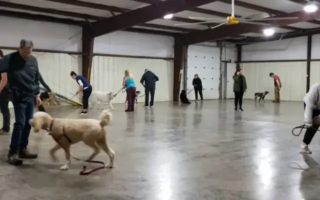 Pet Village Ltd in Salem, OR