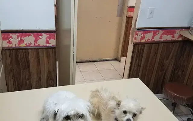 Orange-Tustin Animal Hospital in Orange, CA