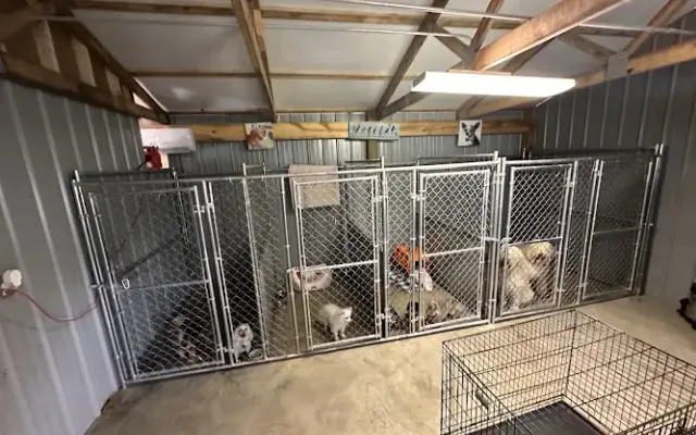 Sweet and Sassy Dog Grooming in Livingston, TN