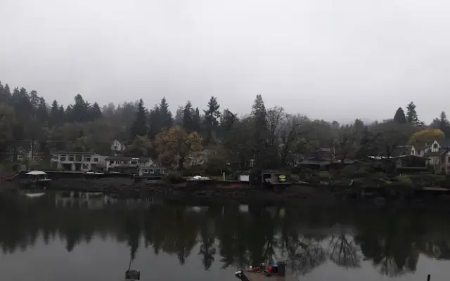 Going to the Dogs in Mulino, OR