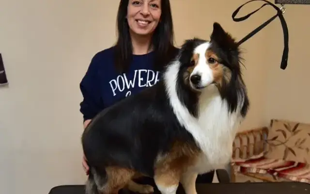 Tashas pet grooming in Prudenville, MI