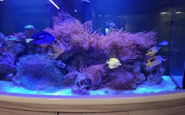 Central Garden & Pet Co in Walnut Creek, CA