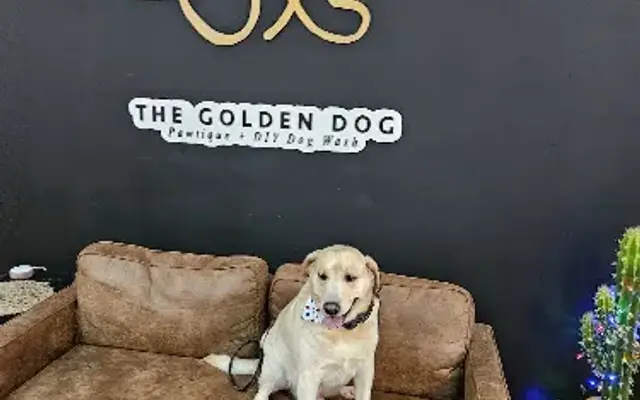 The Golden Dog Pawtique & Dog Wash in Gaffney, SC