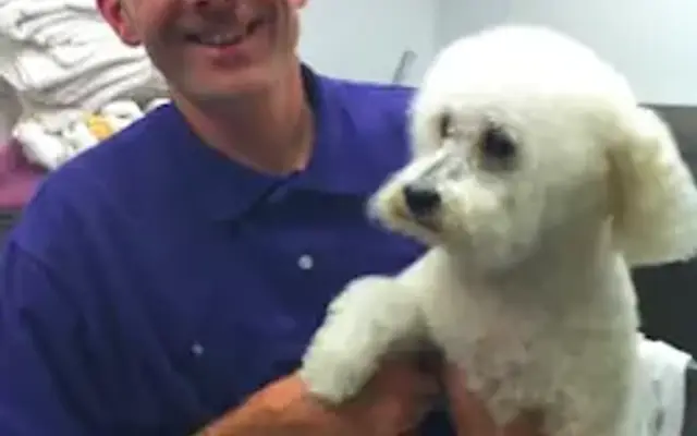 Pet Grooming To You in Brooklyn, NY