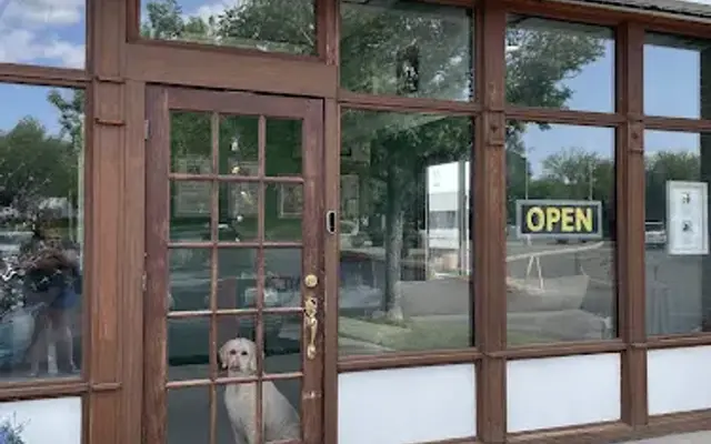 Dreyfus Jack Grooming Salon in Albuquerque, NM