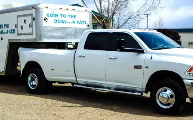 Go’in To The Dogs & Cats in Paulden, AZ