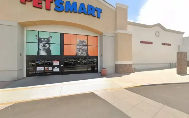 PetSmart Doggie Day Camp in Tucson, AZ