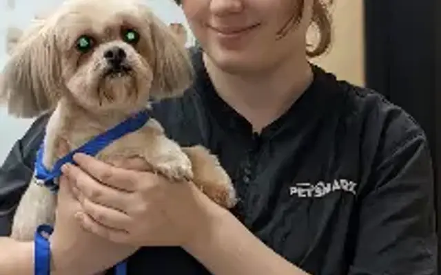 Destiny's Grooming in Tupelo, MS