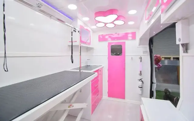 4Dogs Pet Mobile Grooming in Boca Raton, FL