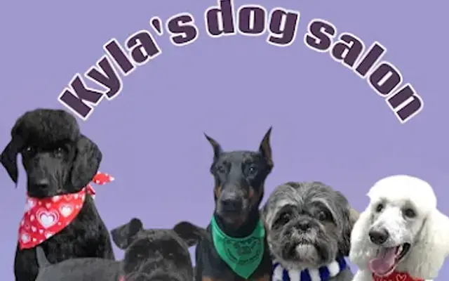 Kyla's dog salon in Cherokee Village, AR