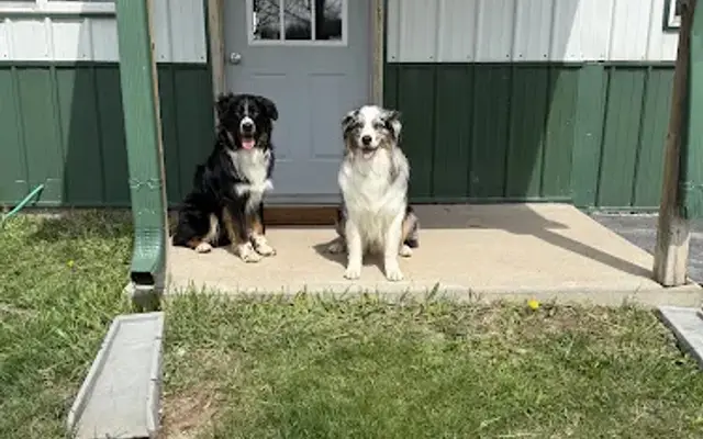 Pleasant Paws Dog Grooming in Larsen, WI