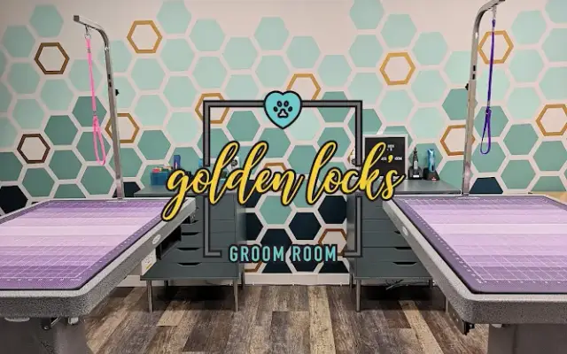 Golden Lock's Grooming in Sault Ste. Marie, MI