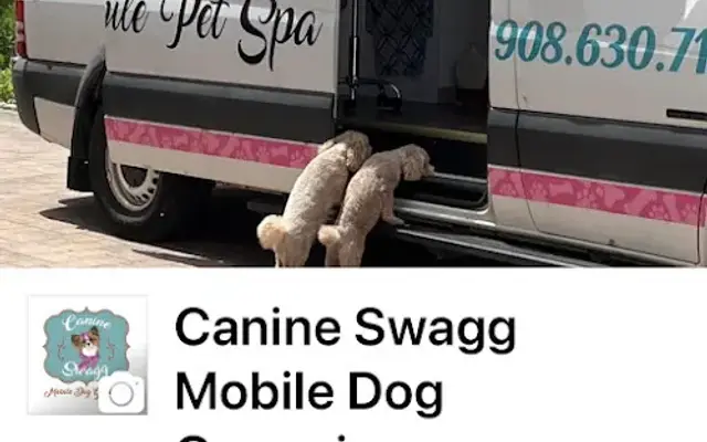 Canine swagg mobile pet spa in Jacobus, PA
