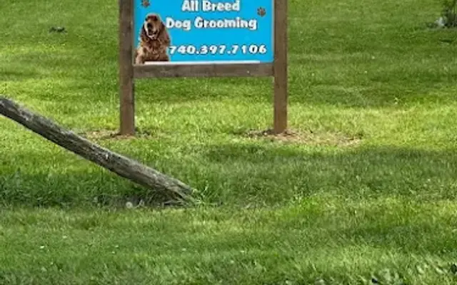 Bowwow Botique Dog Grooming in Fredericktown, OH