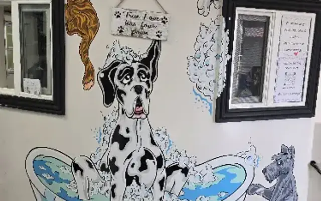 Essential Grooming & Wellness in Santee, CA