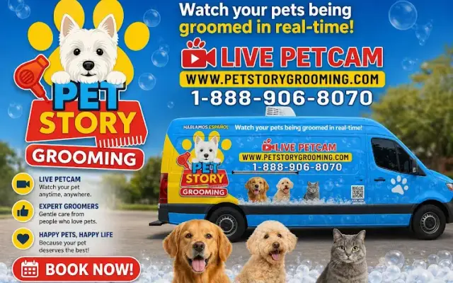 PetStory Grooming - Mobile Pet Dog Grooming in Wellington, FL