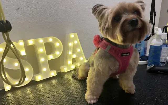 Skittles Spa,LLC in Pflugerville, TX