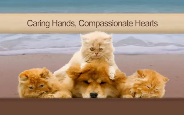 Ocean Breeze Animal Hospital in Jensen Beach, FL