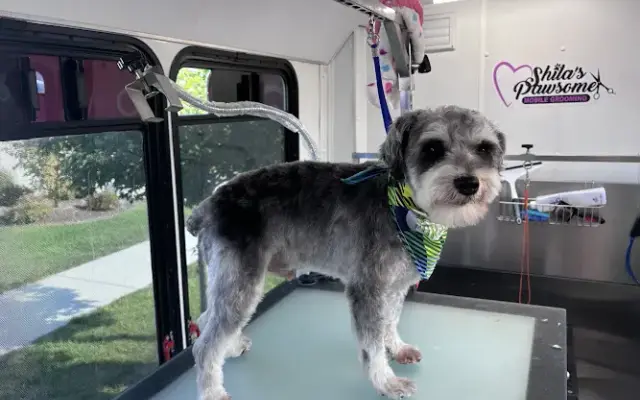 Shila’s Pawsome Mobile Grooming in Highland, MI