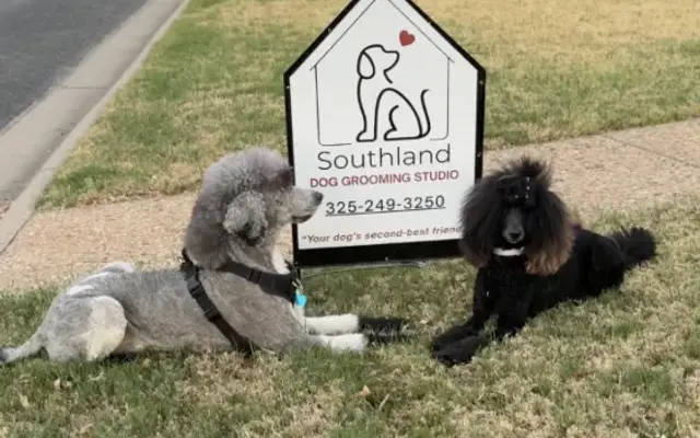 Southland Dog Grooming in San Angelo, TX