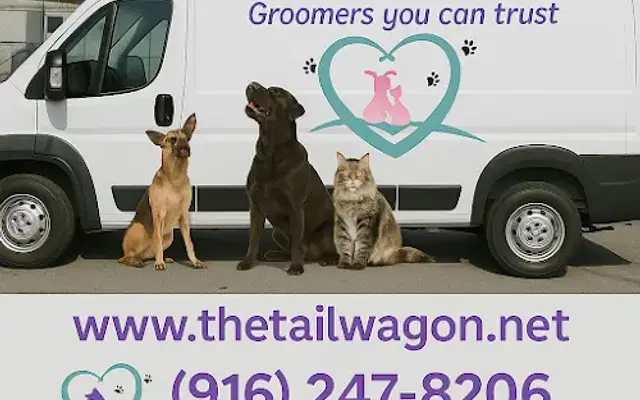 The Tail Wagon in Sacramento, CA