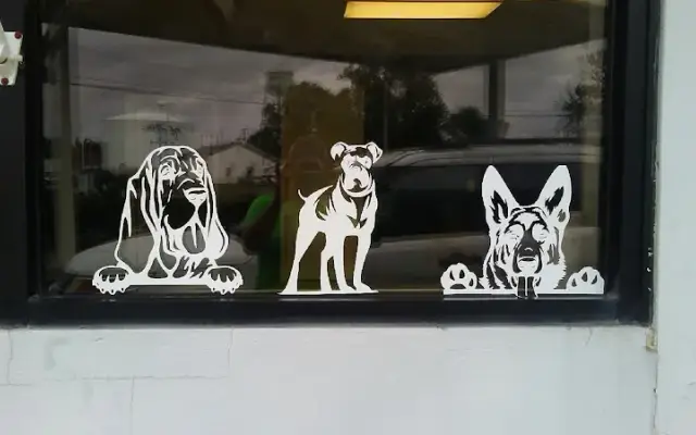 The Handsome Hound Grooming LLC in Vandalia, MO
