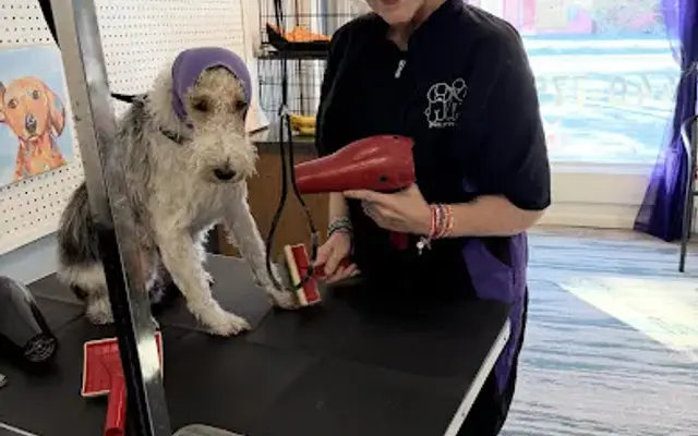 Mystical Touch Grooming in Oberlin, OH