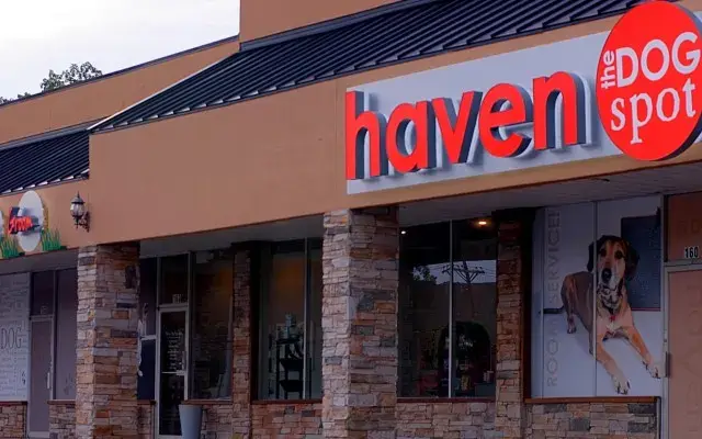 Haven, The Dog Spot in Marietta, GA