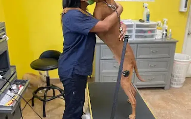 Puppyarazzi Grooming in Wellington, FL