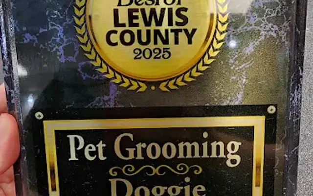 Doggie Designs Pet Grooming in Chehalis, WA