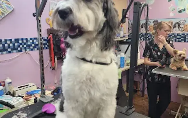 Tender Touch Pet Salon in Sherwood, OH