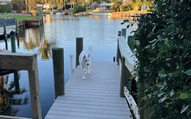 Woofie’s® of Palm Beach-Jupiter in Jupiter, FL