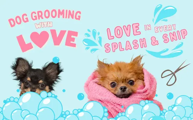 Dog Grooming with Love in Davie, FL