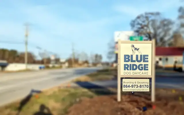 Blue Ridge Dog Daycare in Seneca, SC