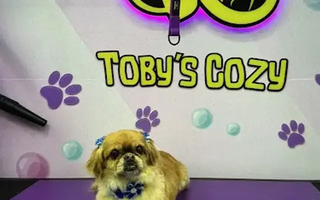 Toby’s Cozy Grooming in Miami Springs, FL