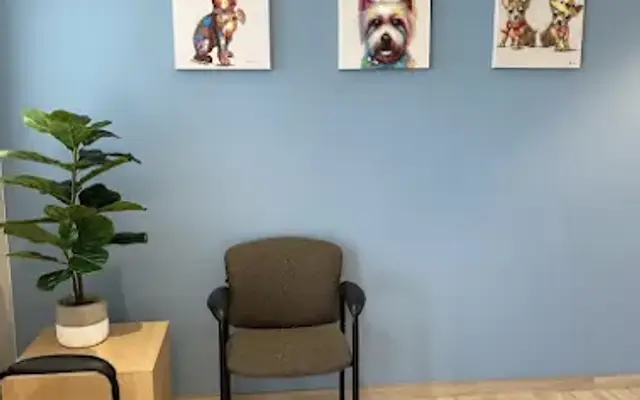 Bayview Boarding & Grooming in Farmington, UT