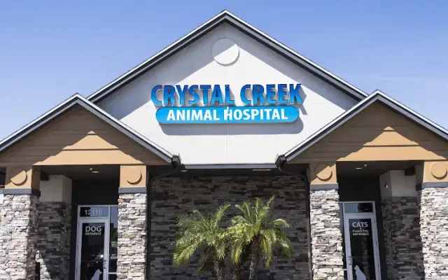 Crystal Creek Animal Hospital in Orlando, FL