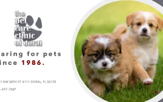 The Pet Care Clinic of Doral in Doral, FL