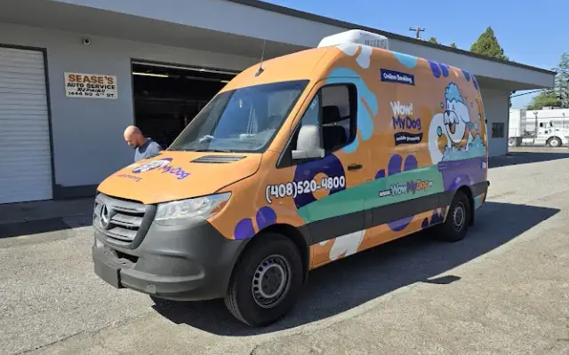 Wow! My Dog - Mobile Grooming in San Ramon, CA
